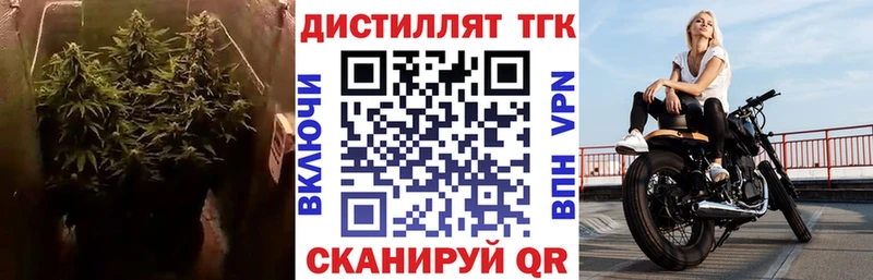 MEGA tor  купить   Макушино  ТГК гашишное масло 