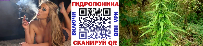 Конопля гибрид  ОМГ ОМГ зеркало  Макушино  дарнет шоп 